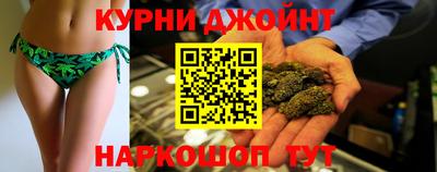 гидра Камышлов