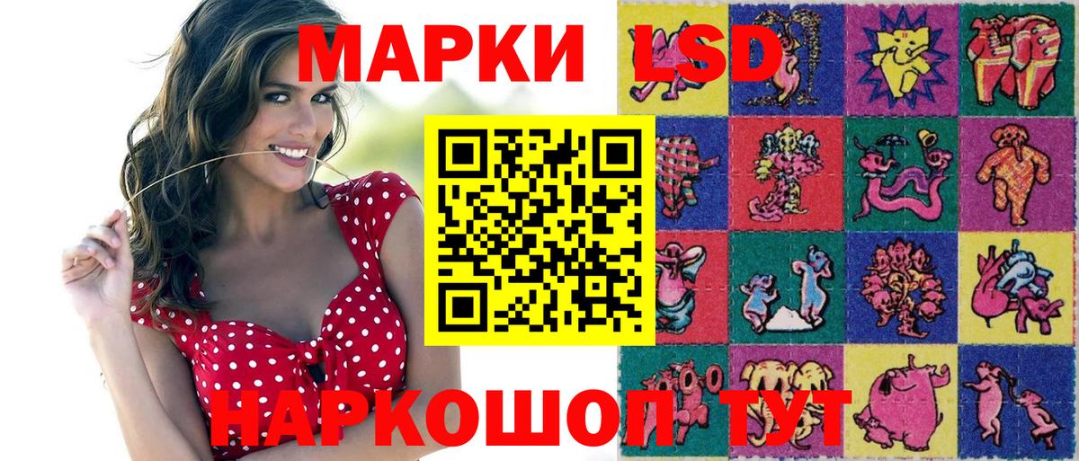 Кувандык  Марки N-bome 1,8мг  Марки N-bome 1,8мг  Вход с VPN 