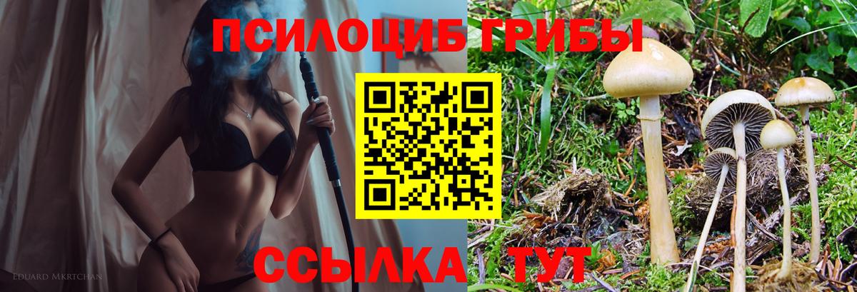 Галлюциногенные грибы MAGIC MUSHROOMS  где продают   Кувандык  Вход с VPN  Псилоцибиновые грибы GOLDEN TEACHER 